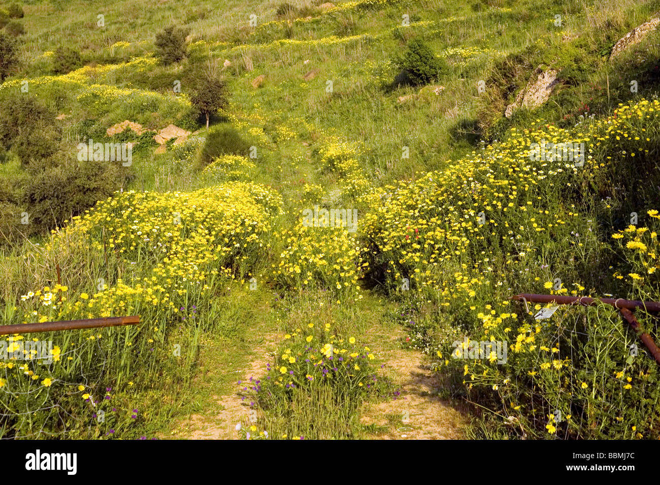 Agriculture sicily hires stock photography and images Alamy