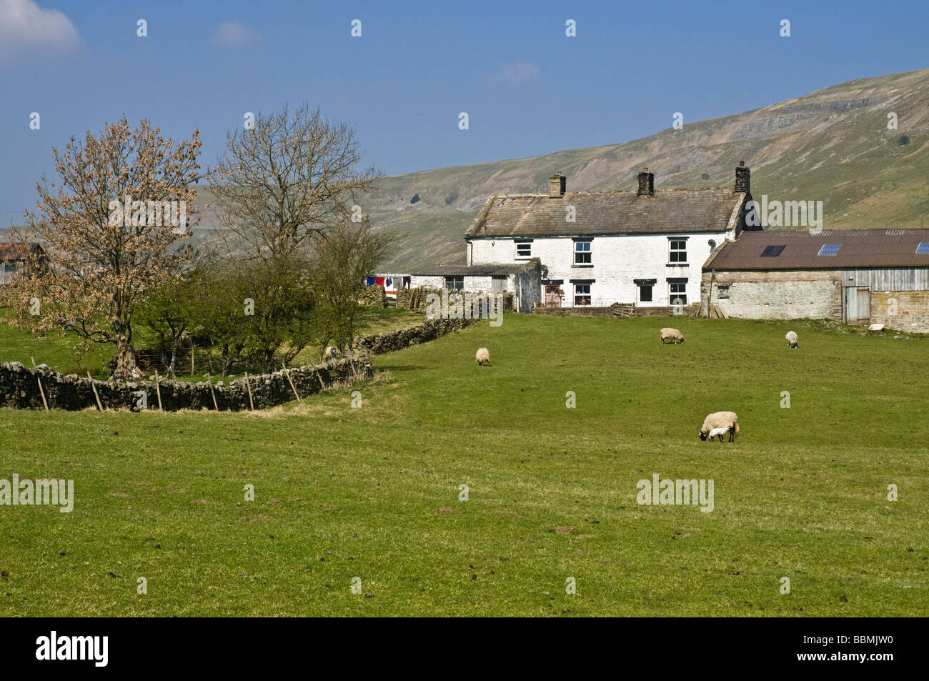 dh Yorkshire Dales National Park ARKENGARTHDALE NORTH YORKSHIRE Farmhouse and sheep in field uk farms british farm rural spring landscape farming Stock Photo