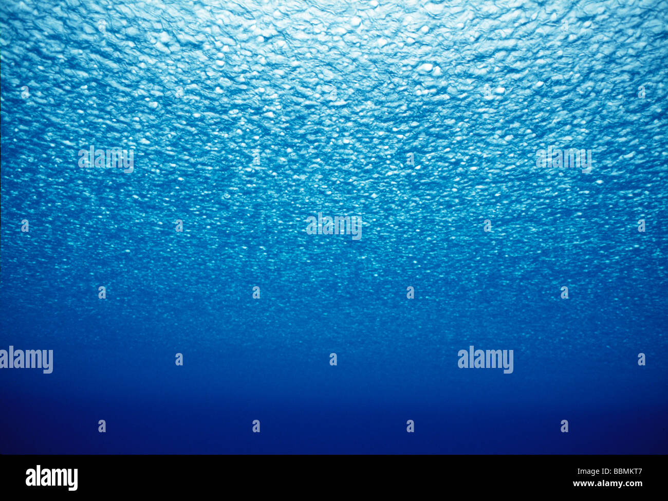 Underwater low angle view hi-res stock photography and images - Alamy