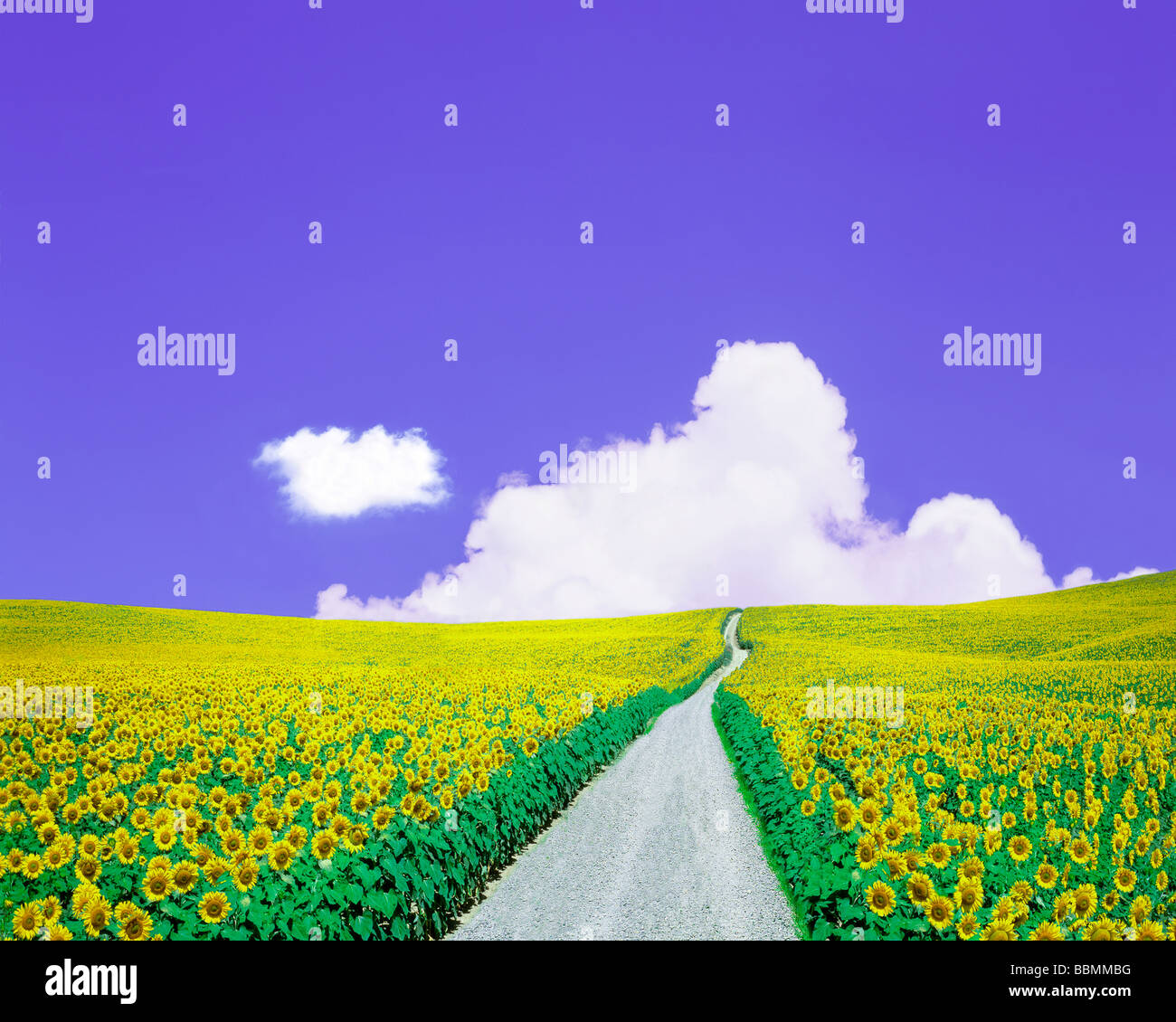Pathaaway Pathway on meadow in hi-res stock photography and images - Alamy