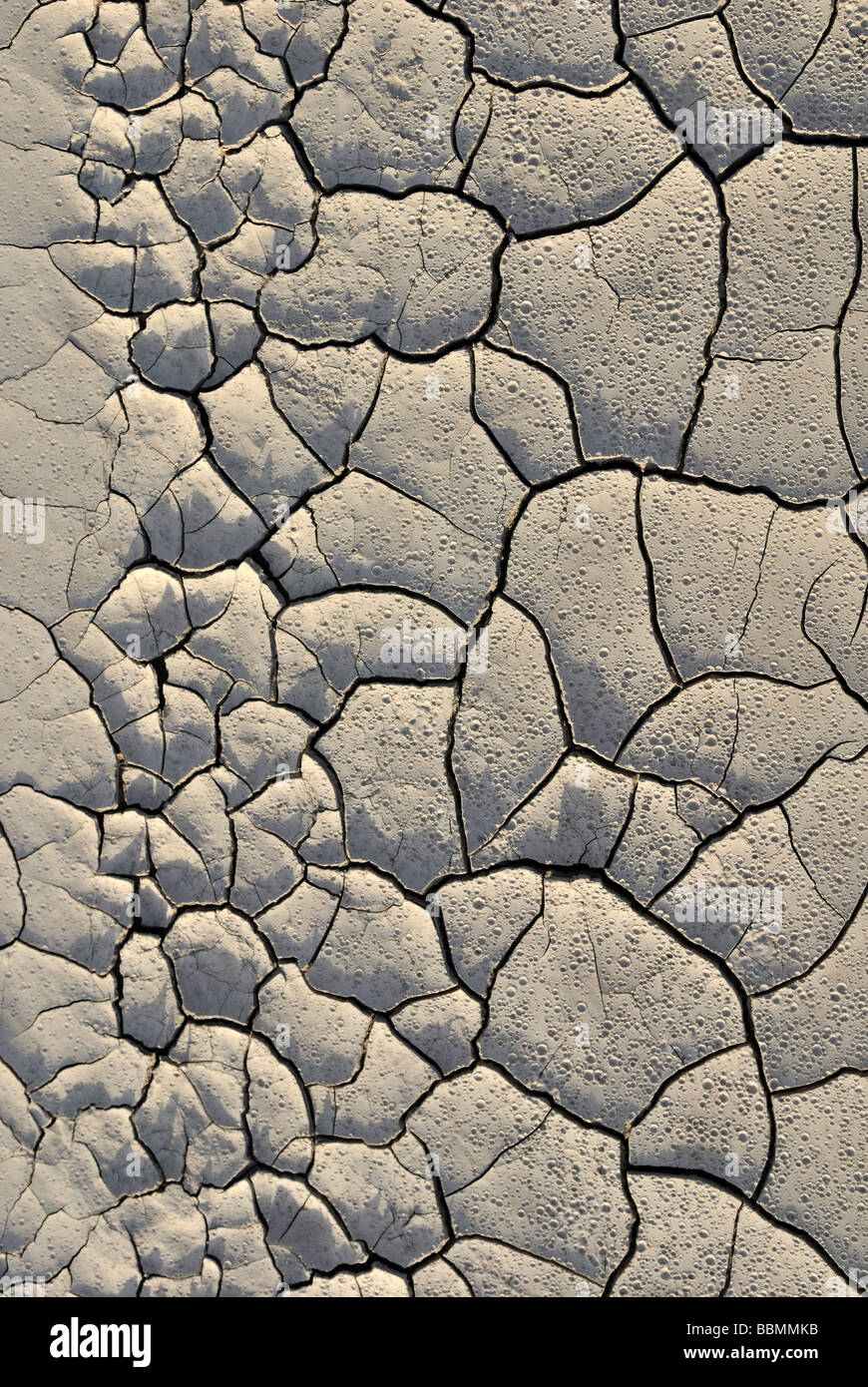 Dried mud puddle with dry cracks and traces of rain drops, Highway 24 at Caineville, Utah, USA Stock Photo