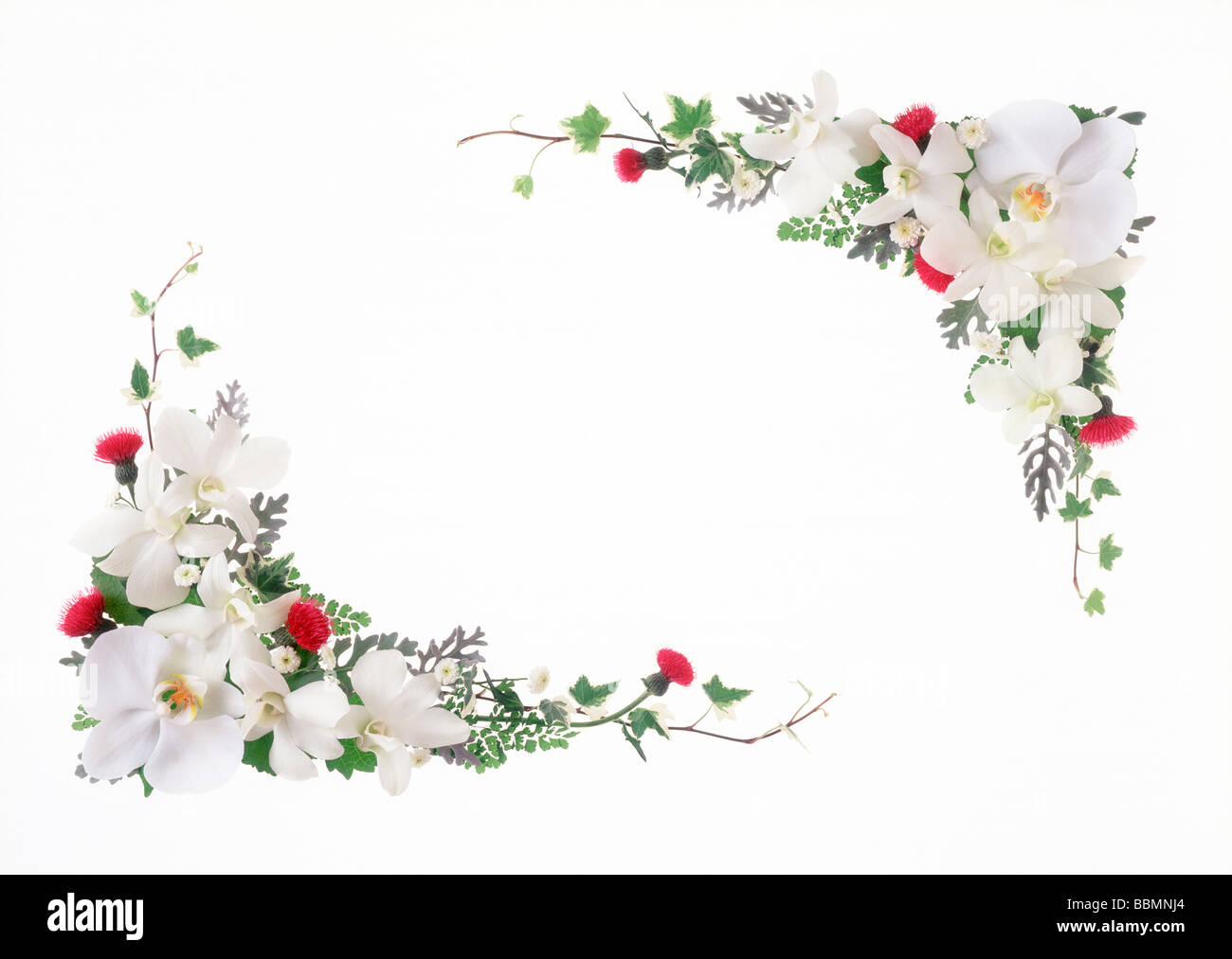 Cluster of flowers beautifully arranged Stock Photo Alamy