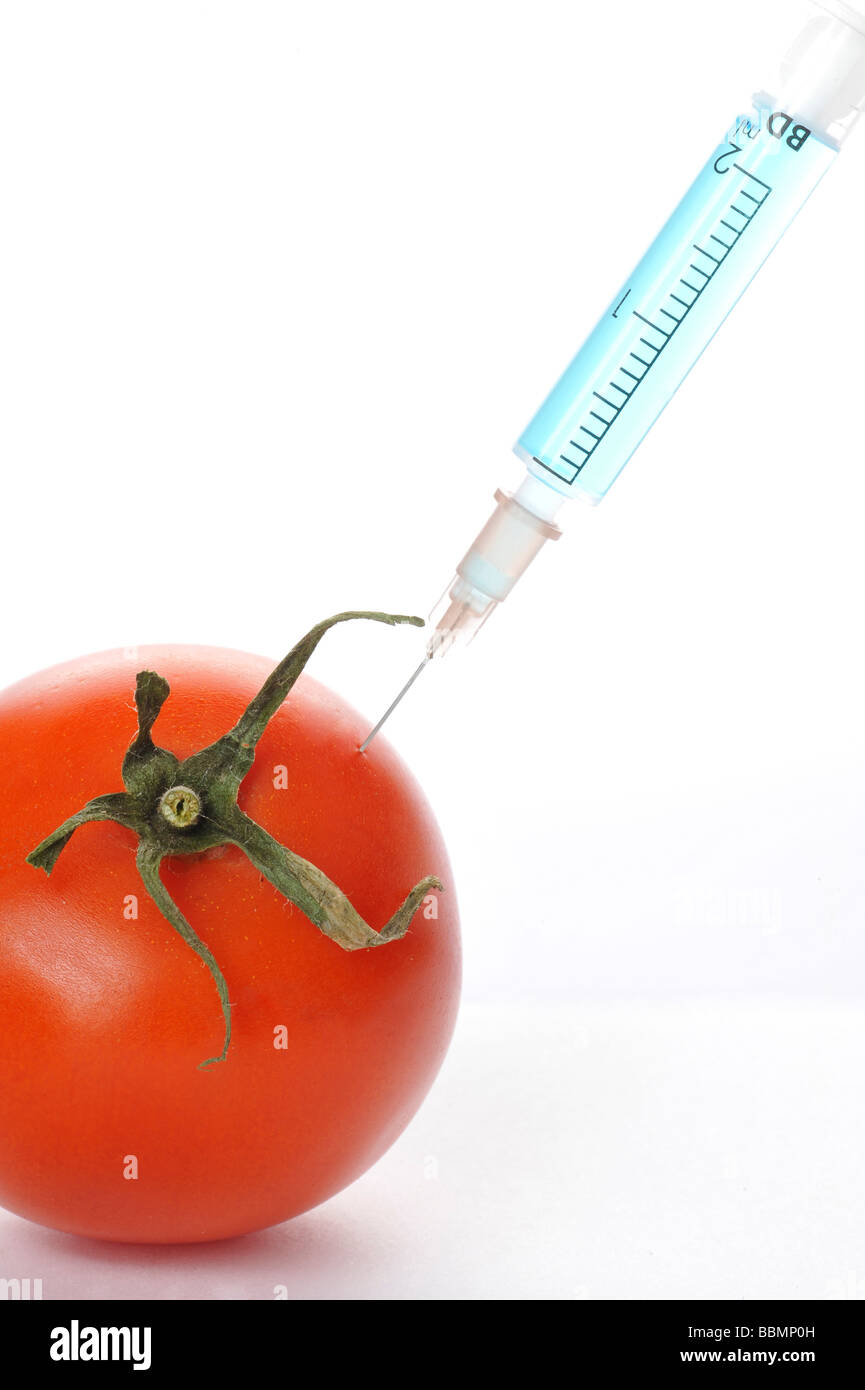 Syringe in tomato, symbolic picture, genetically modified foods Stock Photo