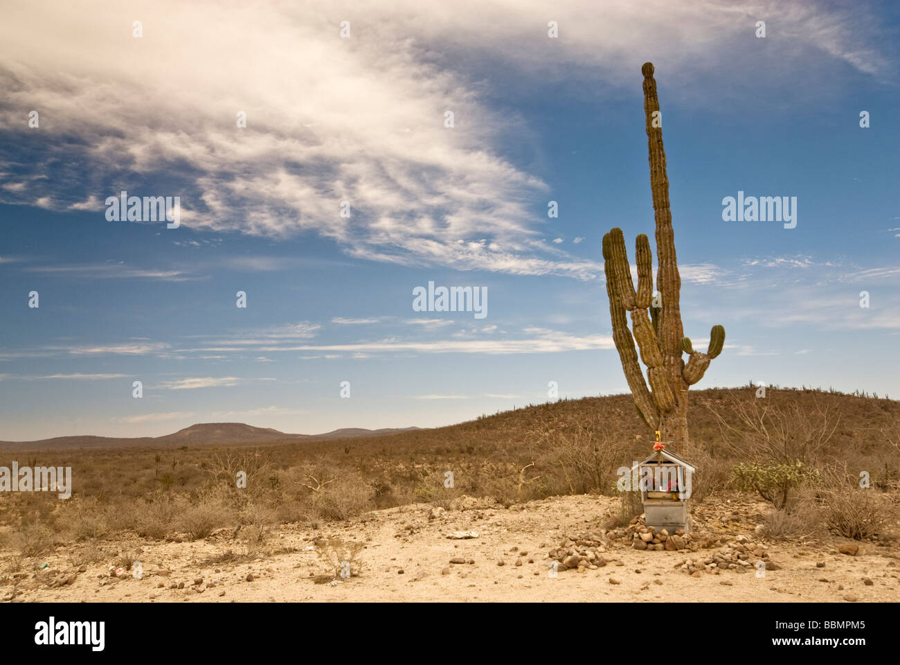 Shrine at cardon cactus in Sierra de la Giganta near Mision San Luis Gonzaga Baja California Sur Mexico Stock Photo
