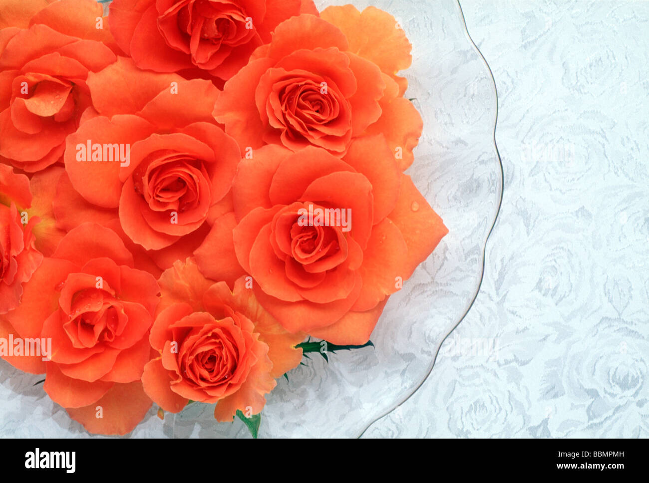 Red roses top angle view hi-res stock photography and images - Alamy