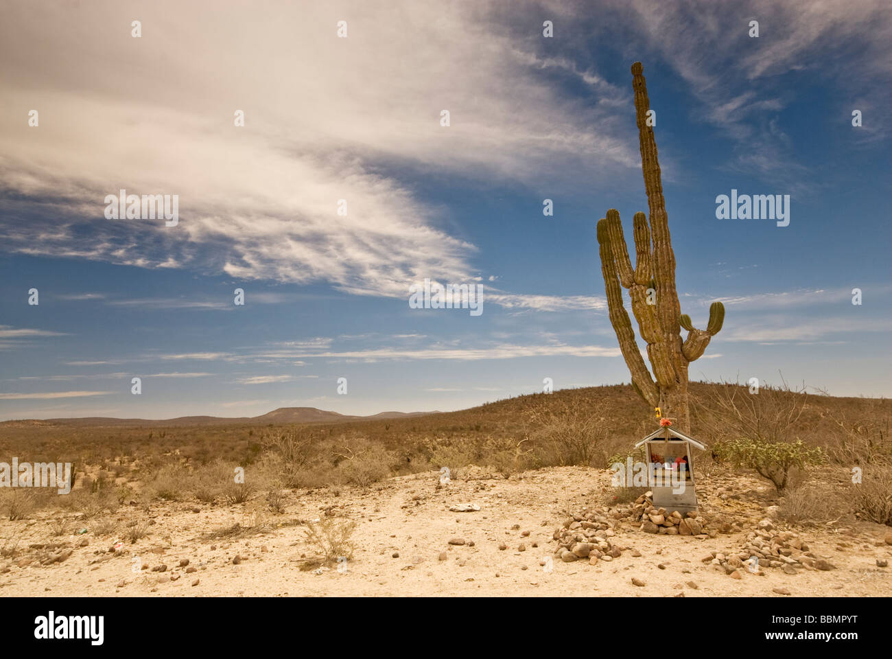 Shrine at cardon cactus in Sierra de la Giganta near Mision San Luis Gonzaga Baja California Sur Mexico Stock Photo