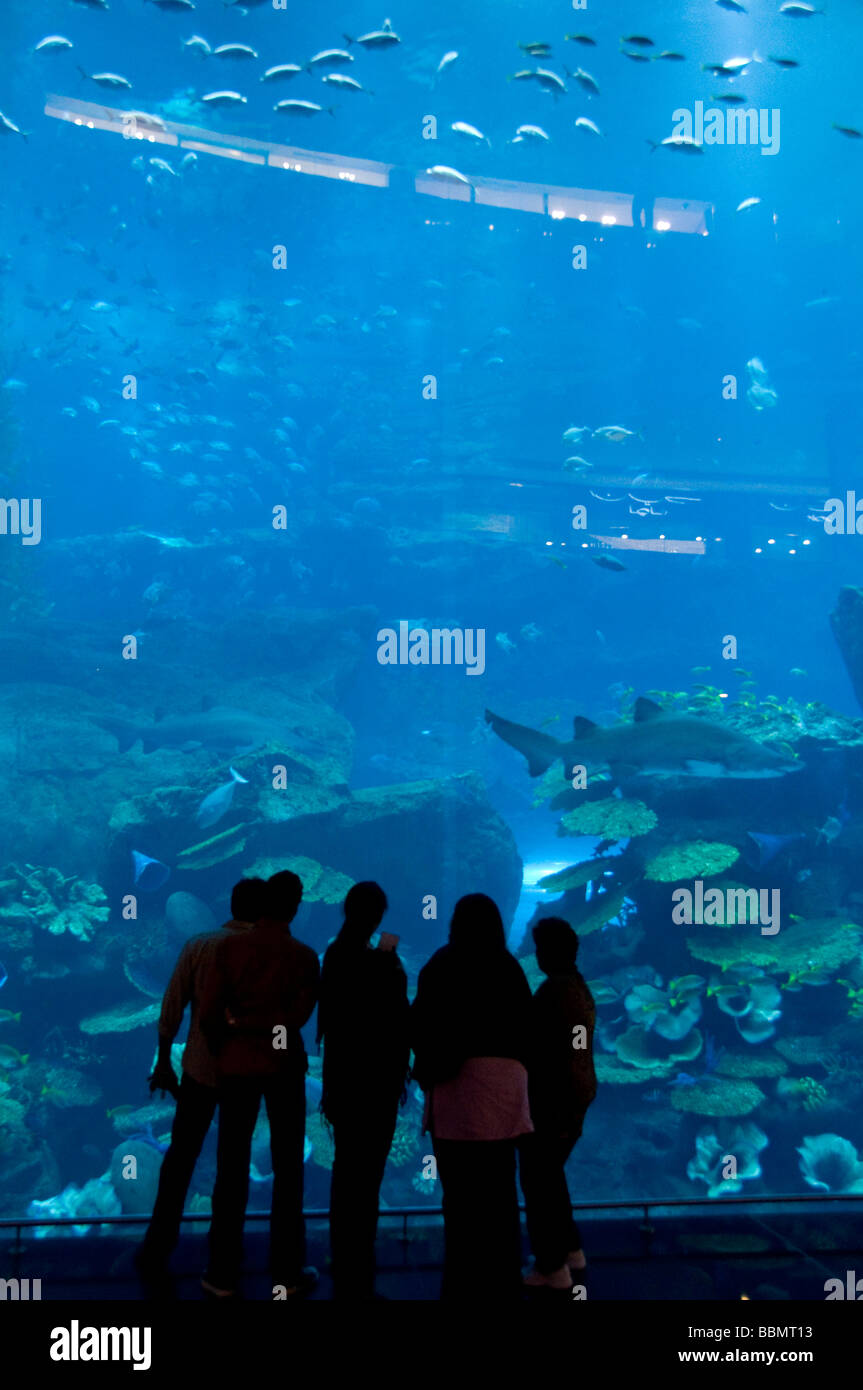 People in front of The aquarium of the Dubai mall Stock Photo
