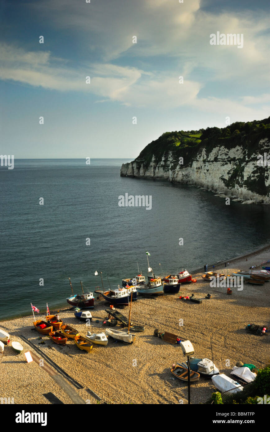 Beer head and beach Devon England UK Stock Photo Alamy