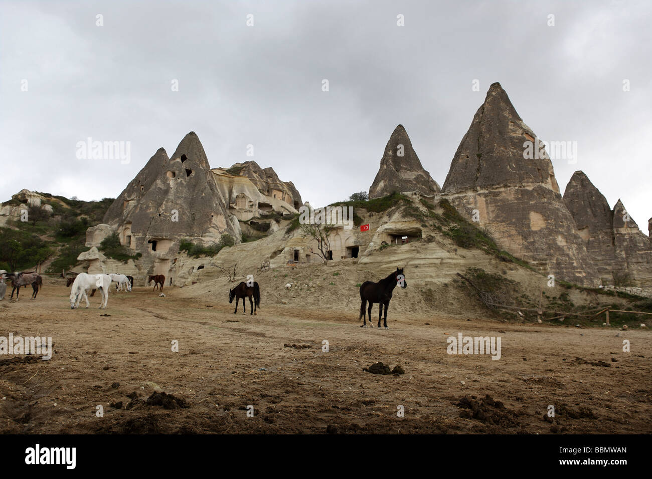 Horses ranch between spiky rocks in the middle of Cappadocia, Turkey. Stock Photo