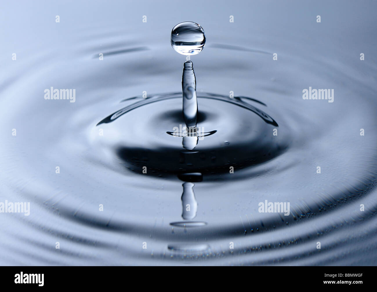 Close up of a water drop hitting a water surface Stock Photo Alamy