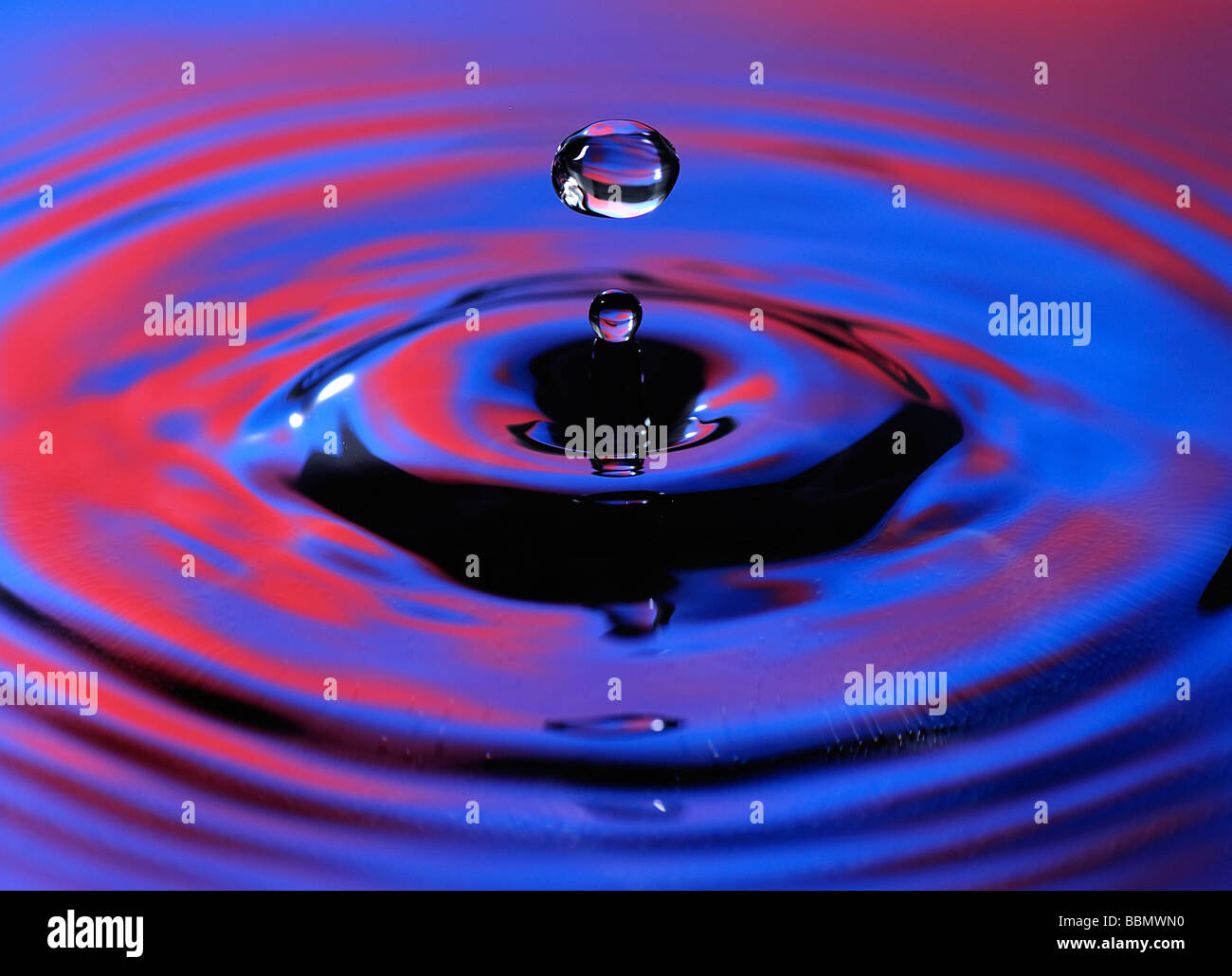 Close up of a water drop hitting a water surface Stock Photo Alamy