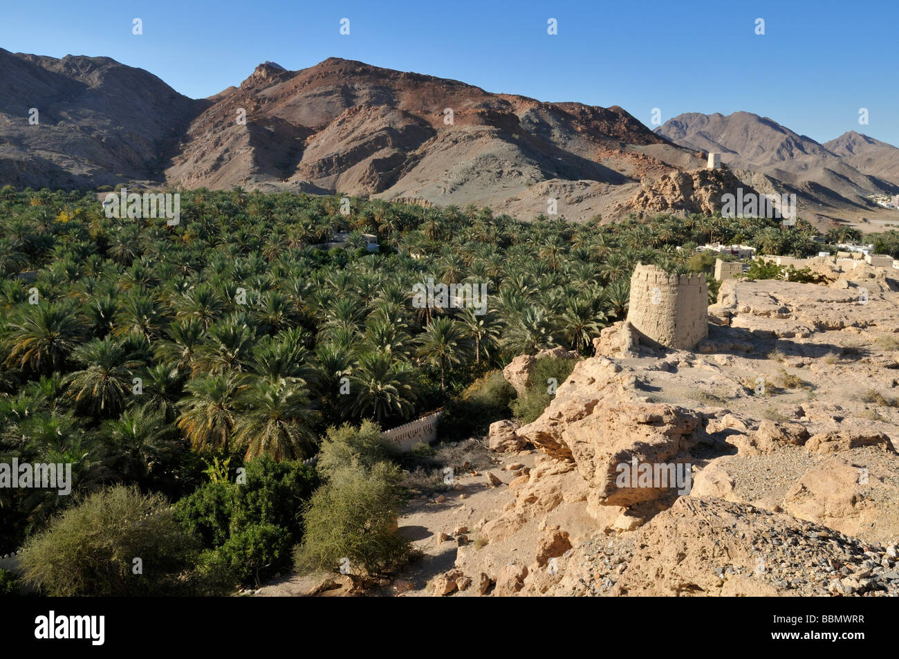 View over Franja palm oasis, Batinah Region, Sultanate of Oman, Arabia, Middle East Stock Photo