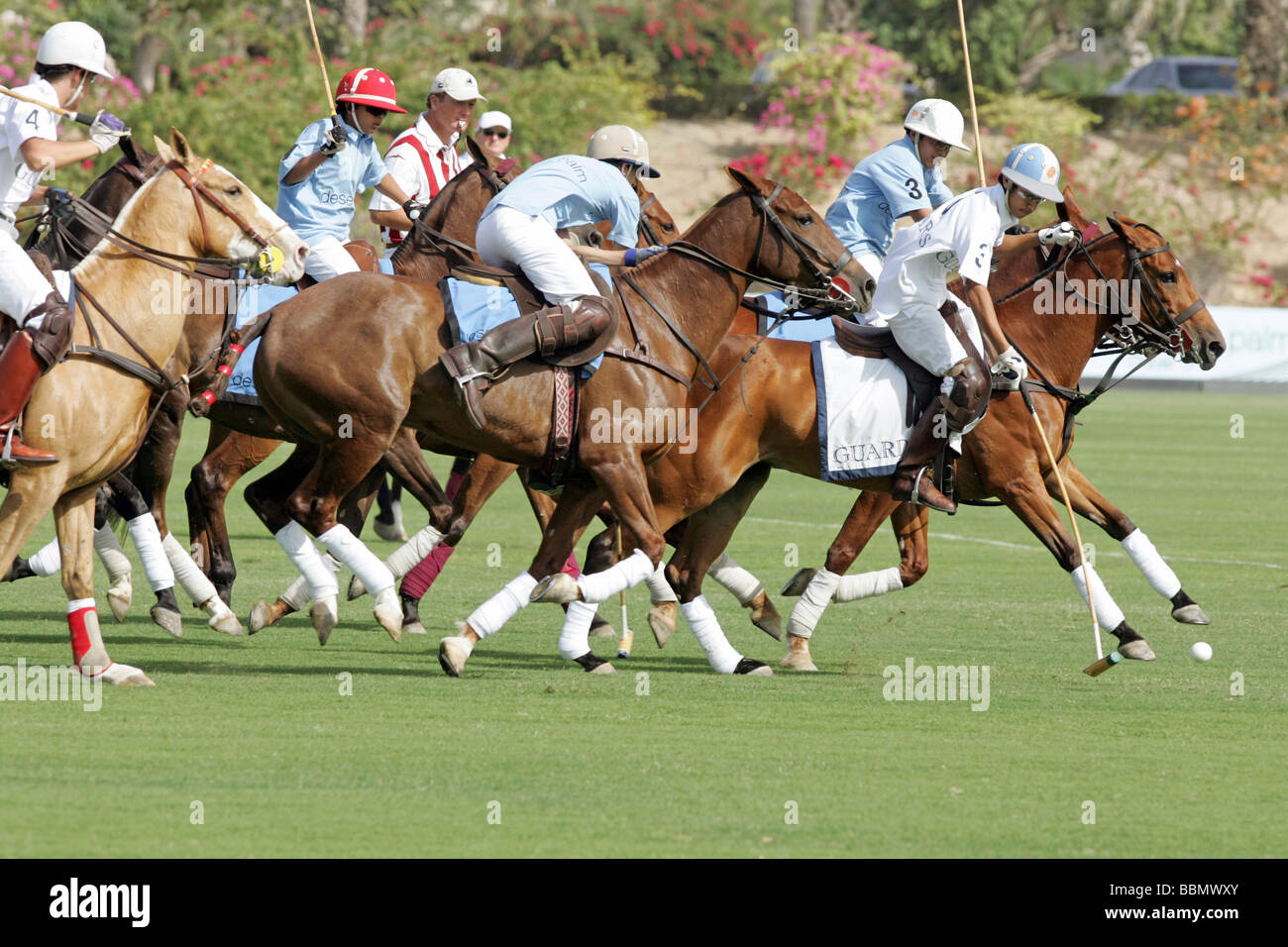 Polo match, Dubai, United Arab Emirates Stock Photo