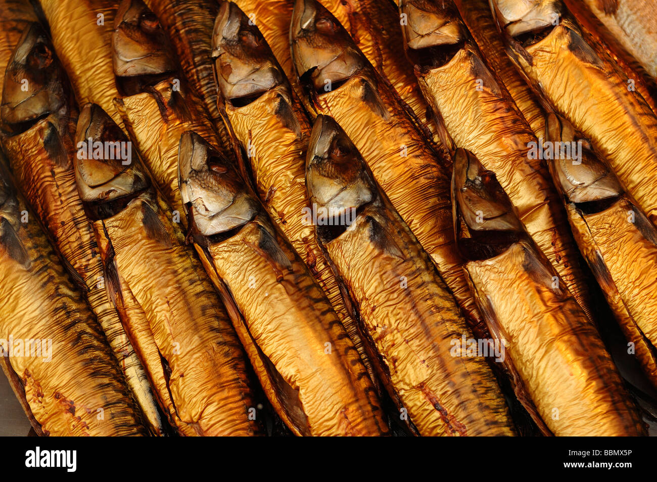 Smoked Mackerel (Scomber scombrus) in a seafood shop, Lueneburg, Lower Saxony, Germany, Europe Stock Photo
