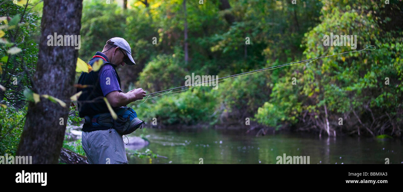 Trout Fly fishing fly selection Stock Photo Alamy