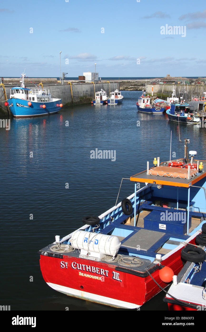 Boats in harbour, Seahouses, Northumberland, UK Stock Photo - Alamy