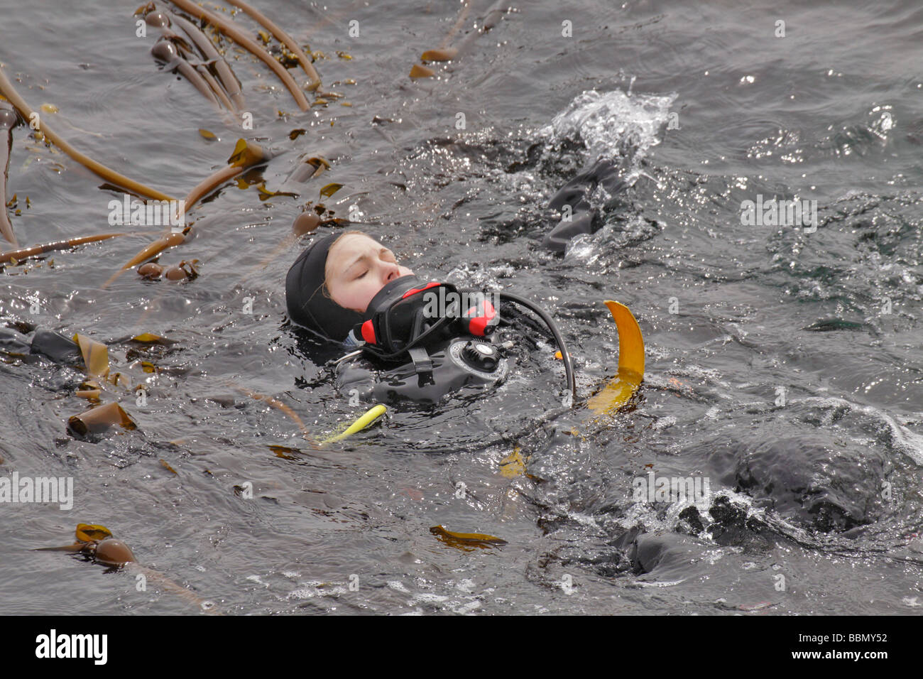 Scuba diver practicing safety measures on surface of Pacific ocean