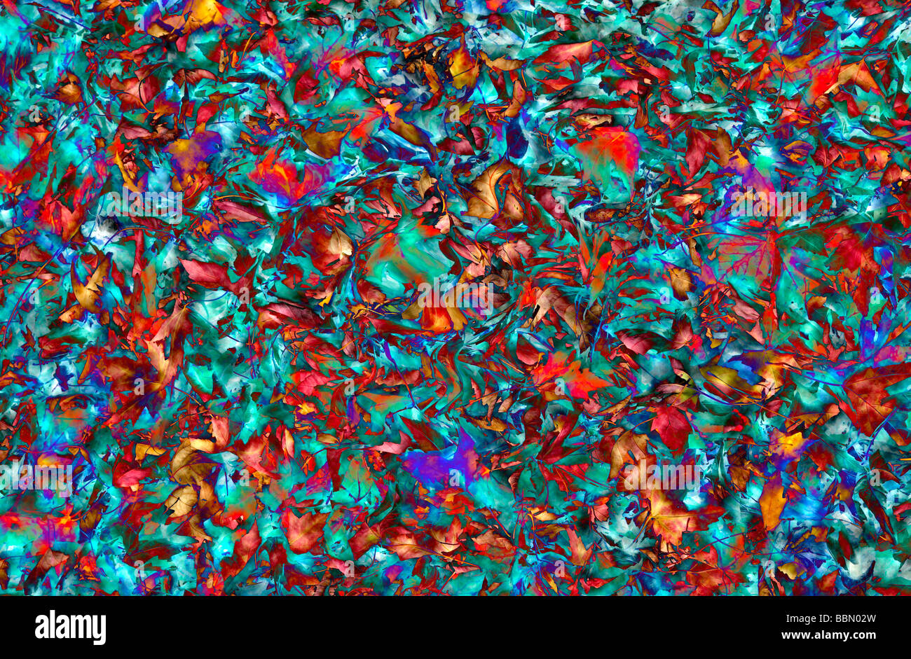 Image of autumn leaves as a background vector Stock Photo - Alamy