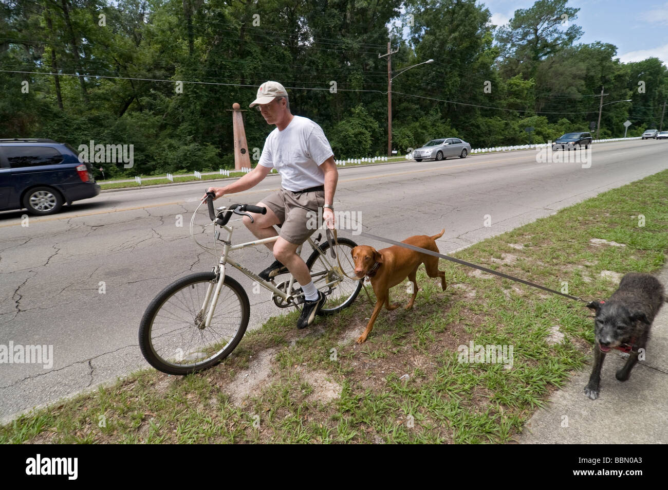 Why Do Dogs Run After Bikes