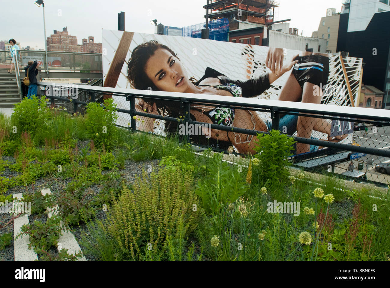 The new High Line Park in the New York neighborhood of Chelsea is seen on Monday June 8 2009 Stock Photo