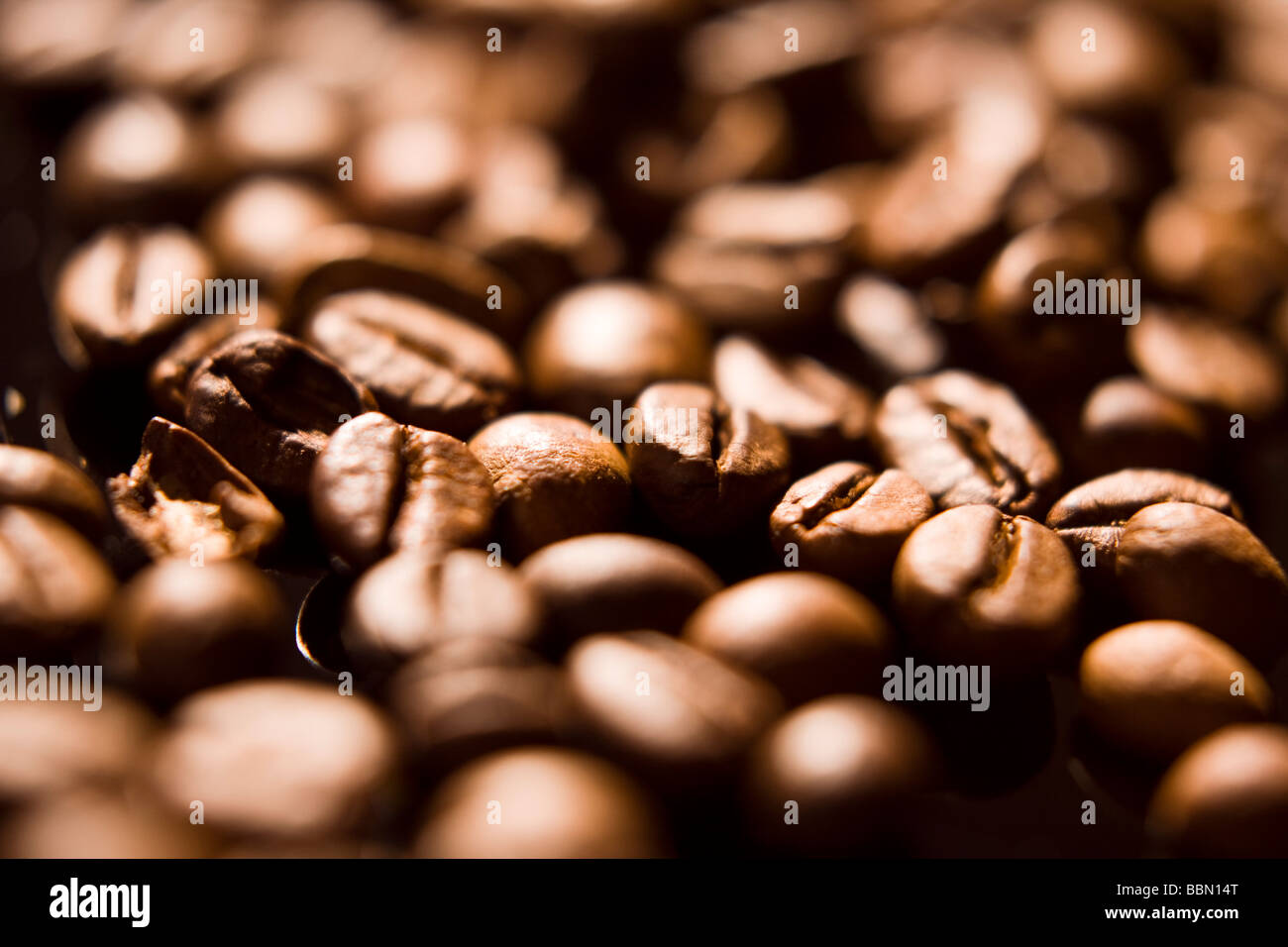 Coffee beans, full frame, closeup Stock Photo Alamy