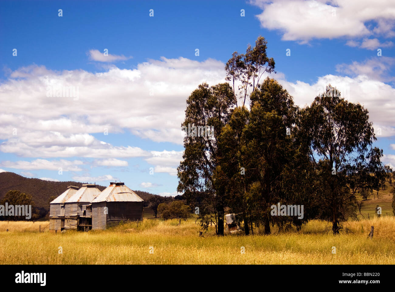 Redundant Tobacco drying sheds in North East Victoria, Australia. Stock Photo