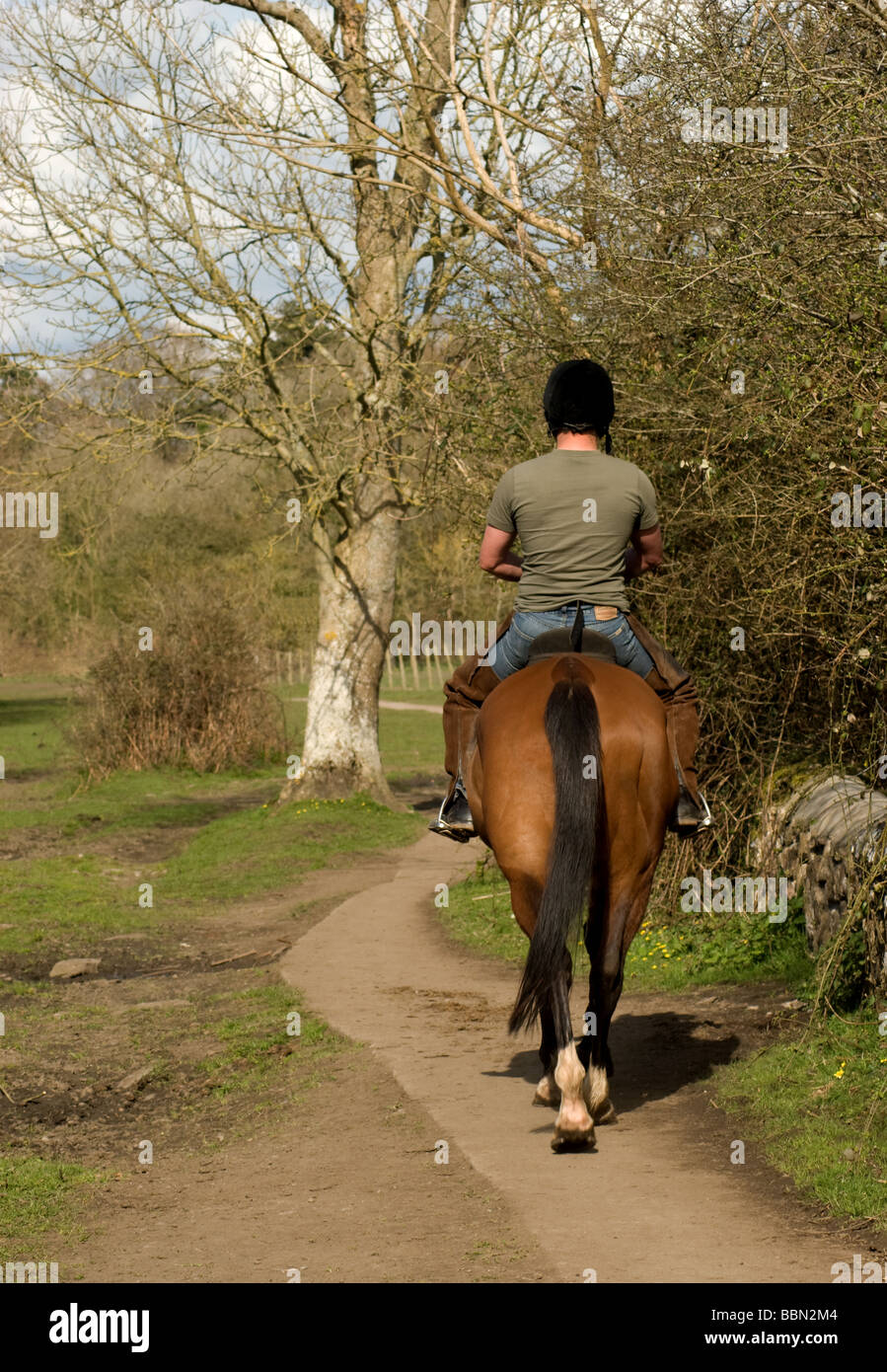 Man riding a horse down a country lane Stock Photo - Alamy