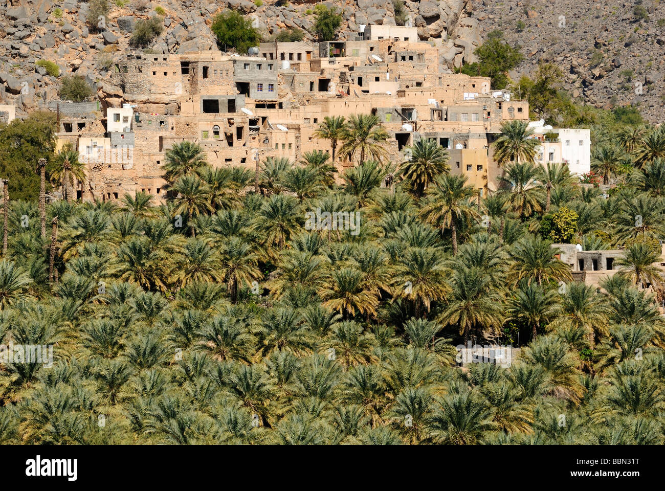 Mountain oasis Misfah, Hajar al Gharbi Mountains, Dhakiliya Region, Sultanate of Oman, Arabia, Middle East Stock Photo