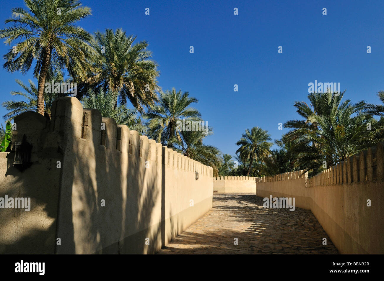 Walled alley in the palm garden of Mahadah oasis near Buraimi, Hajar al Gharbi Mountains, Al Dhahirah Region, Sultanate of Oman Stock Photo