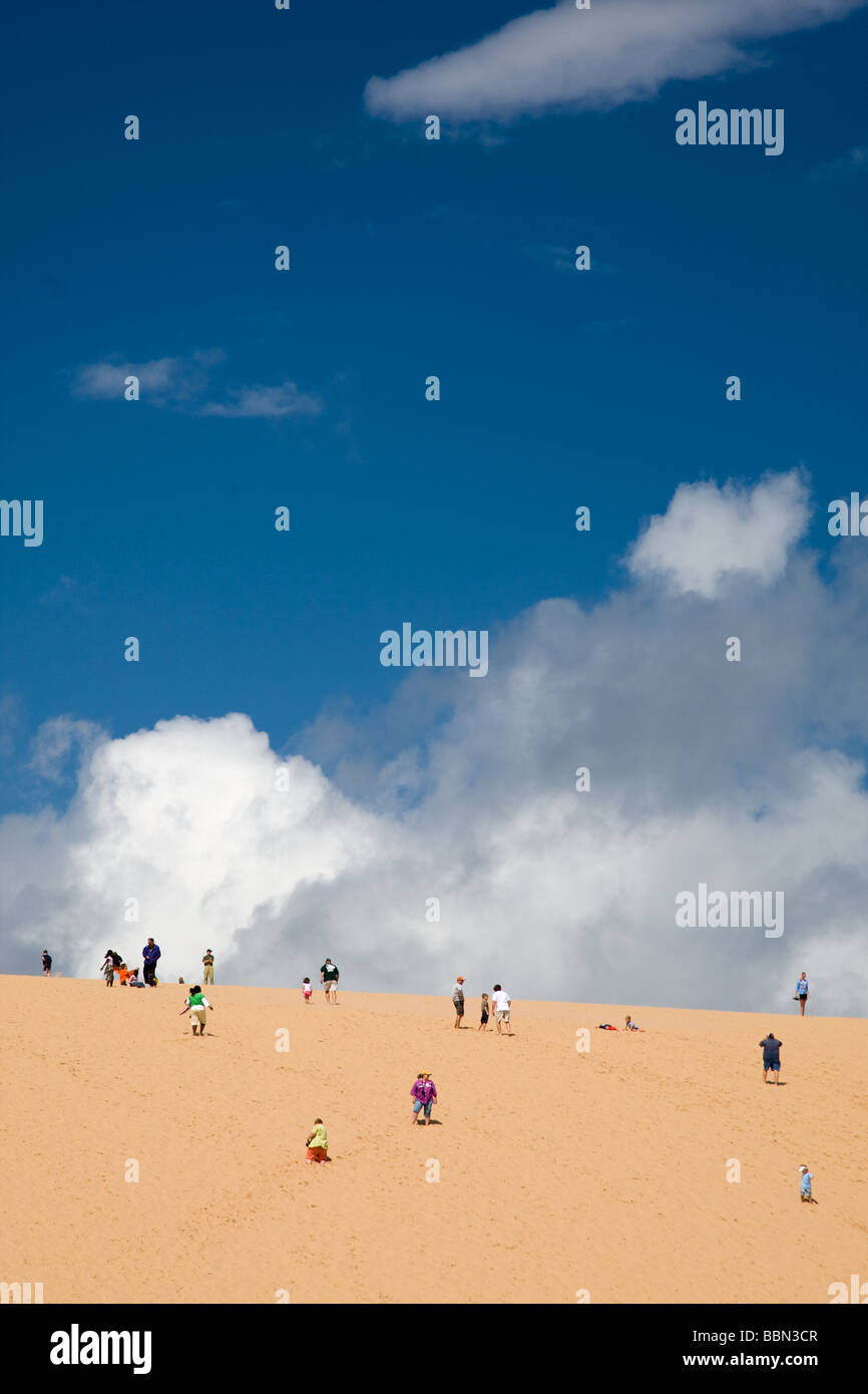 Dune Climb Sand Dunes, Sleeping Bear Dunes National Lakeshore, Michigan
