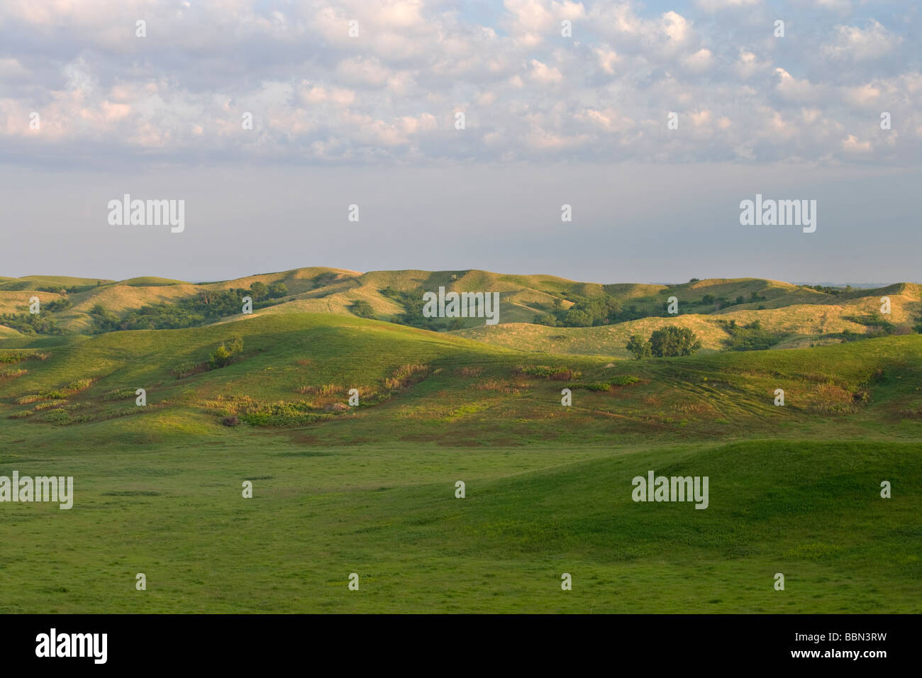 Loess Hills, Broken Kettle Grasslands (a preserve of The Nature Conservancy), Plymouth County, Iowa Stock Photo