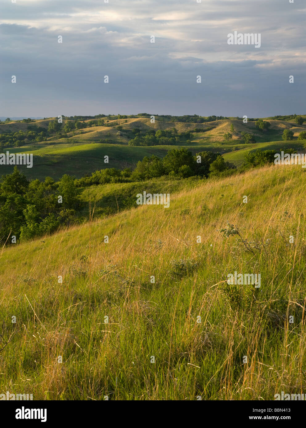 Loess Hills, Broken Kettle Grasslands (a preserve of The Nature