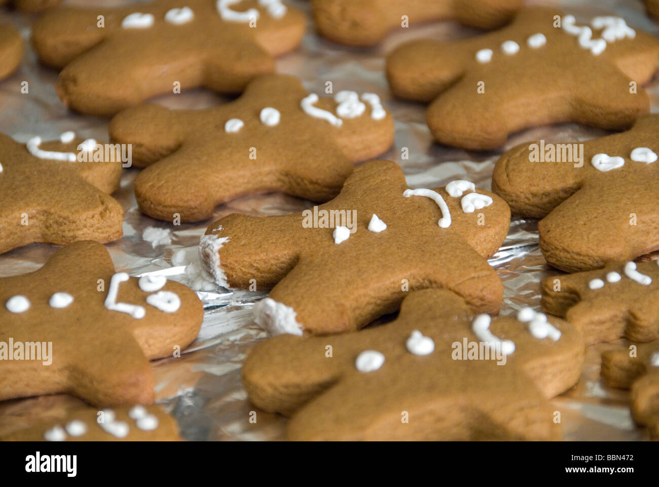 A frightened gingerbread man cookie lays on foil. Stock Photo