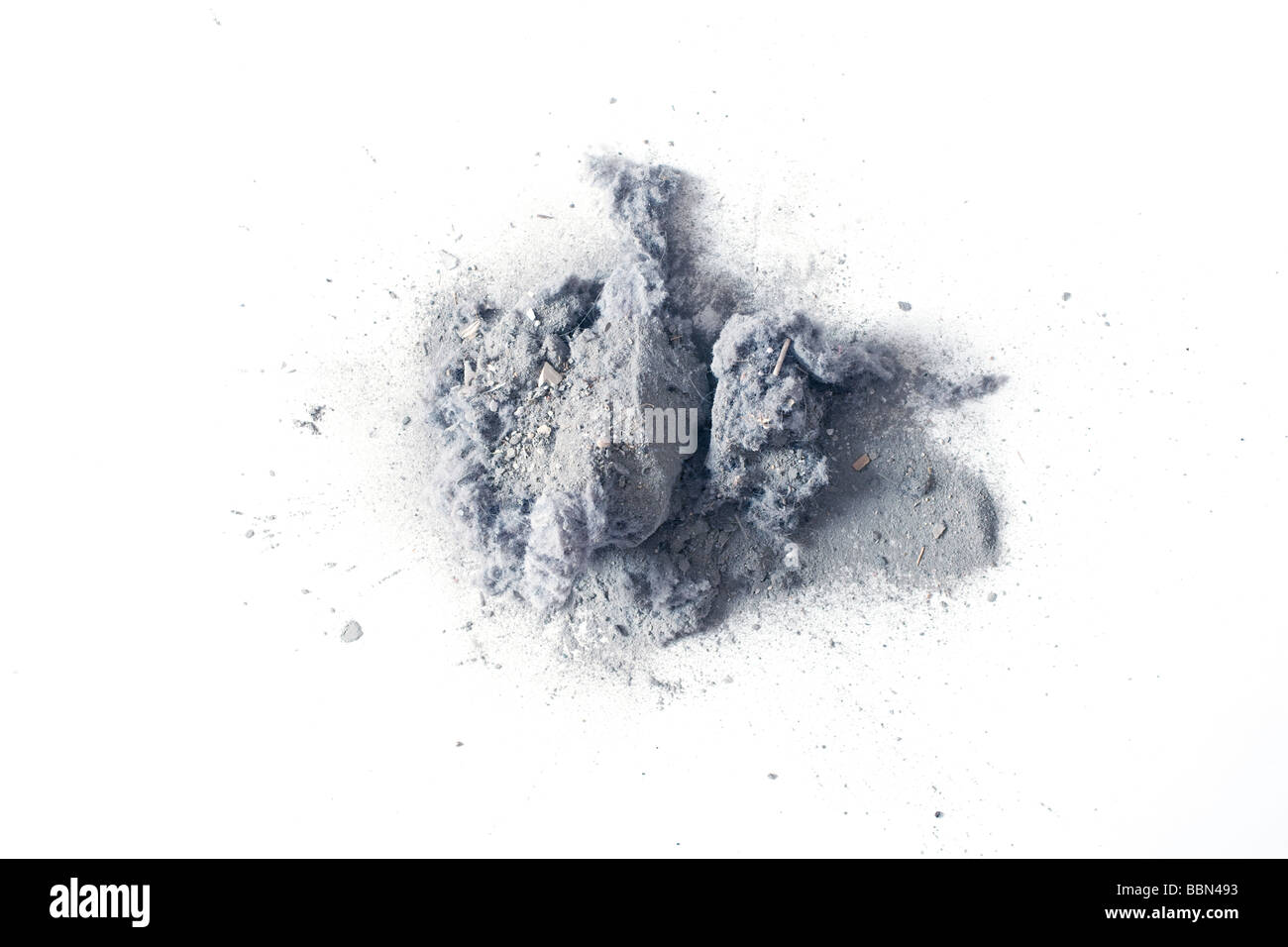 House dust from vacuum cleaner bag Stock Photo