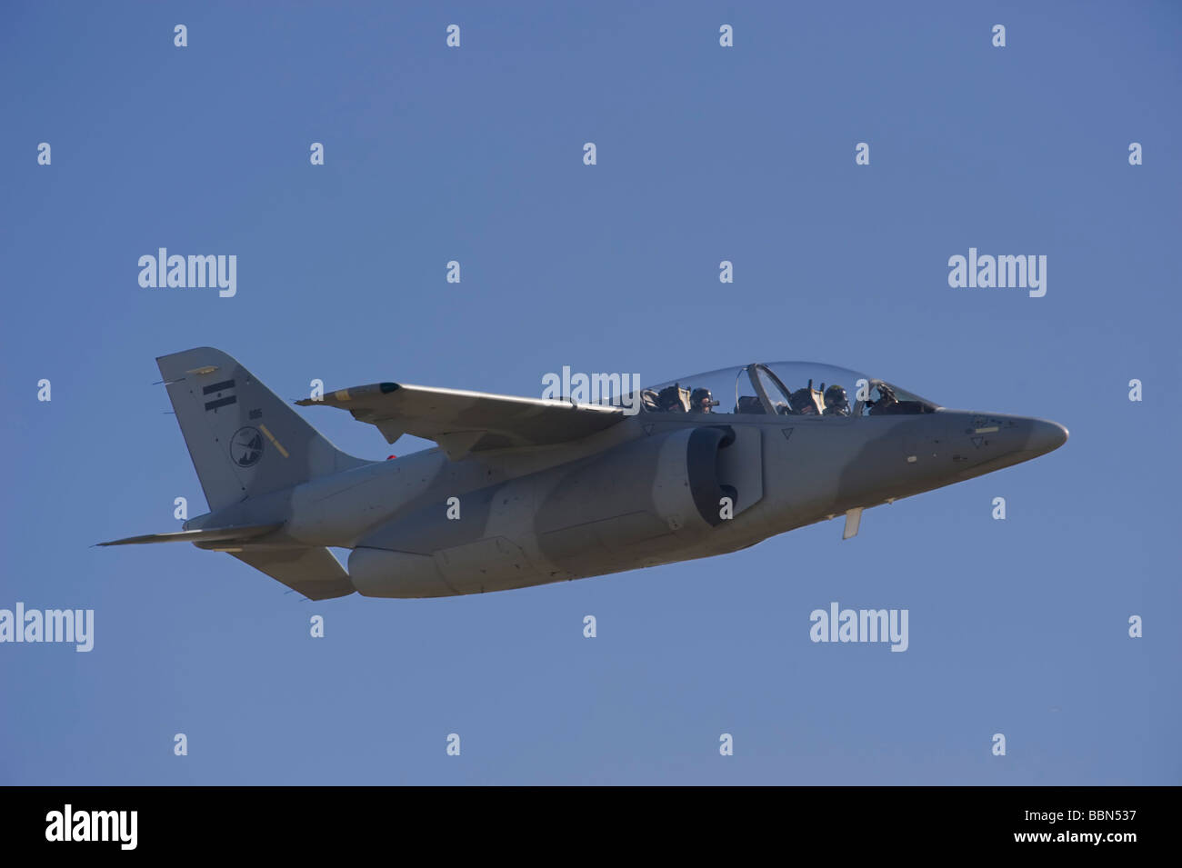 Argentinian Air Force IA-63 or AT-63 Pampa Stock Photo - Alamy