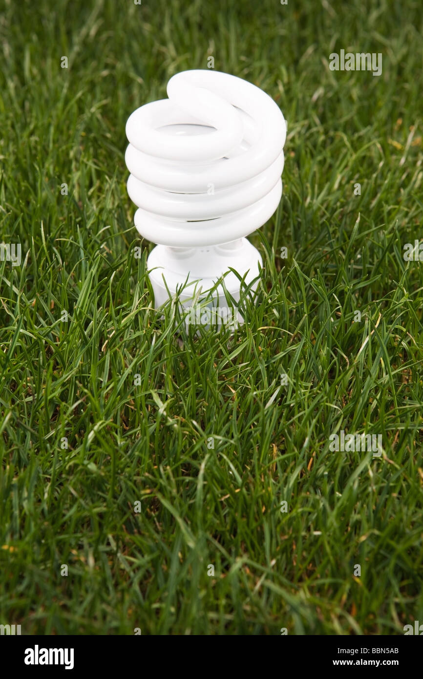 Energy saving light bulb in green grass Stock Photo - Alamy