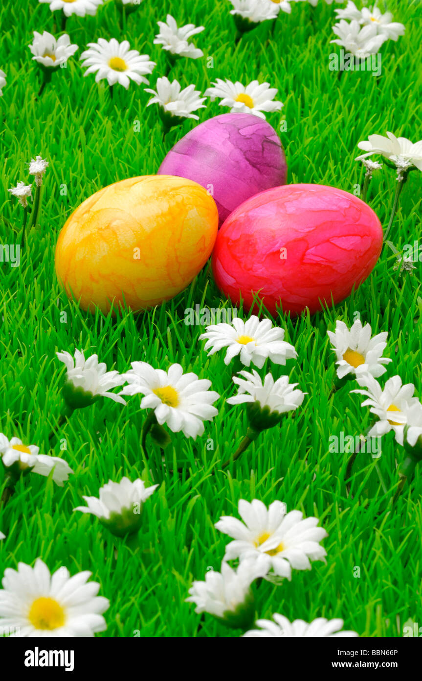 Colorful Easter eggs on flower meadow with daisy flowers Stock Photo