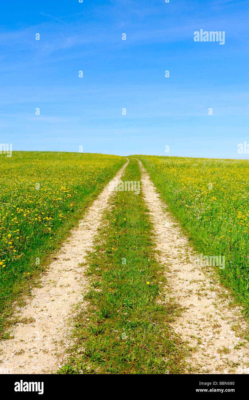 Dirt track through a spring meadow, Swabian Mountains, Baden-Wuerttemberg, Germany, Europe Stock Photo