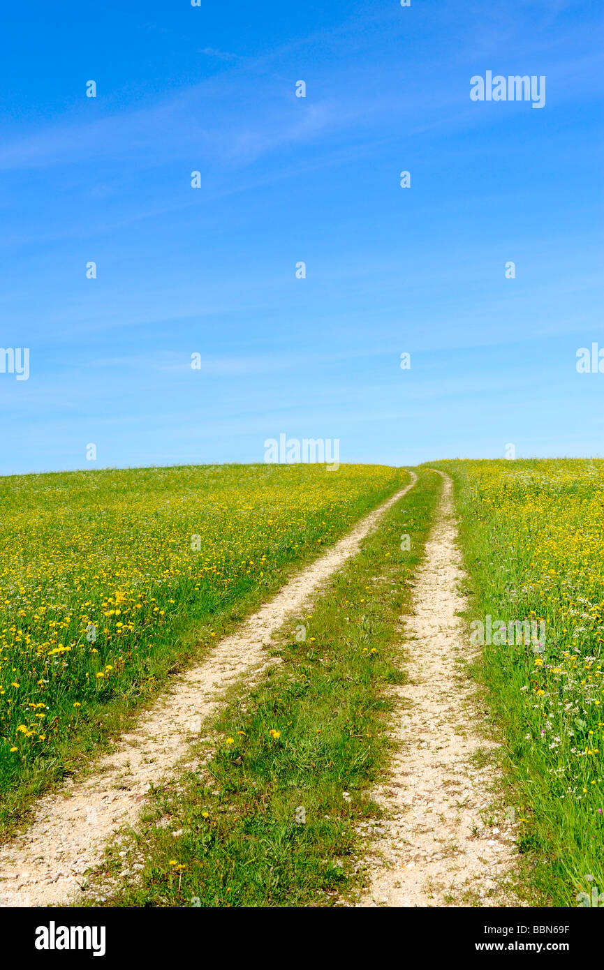 Dirt track through a spring meadow, Swabian Mountains, Baden-Wuerttemberg, Germany, Europe Stock Photo