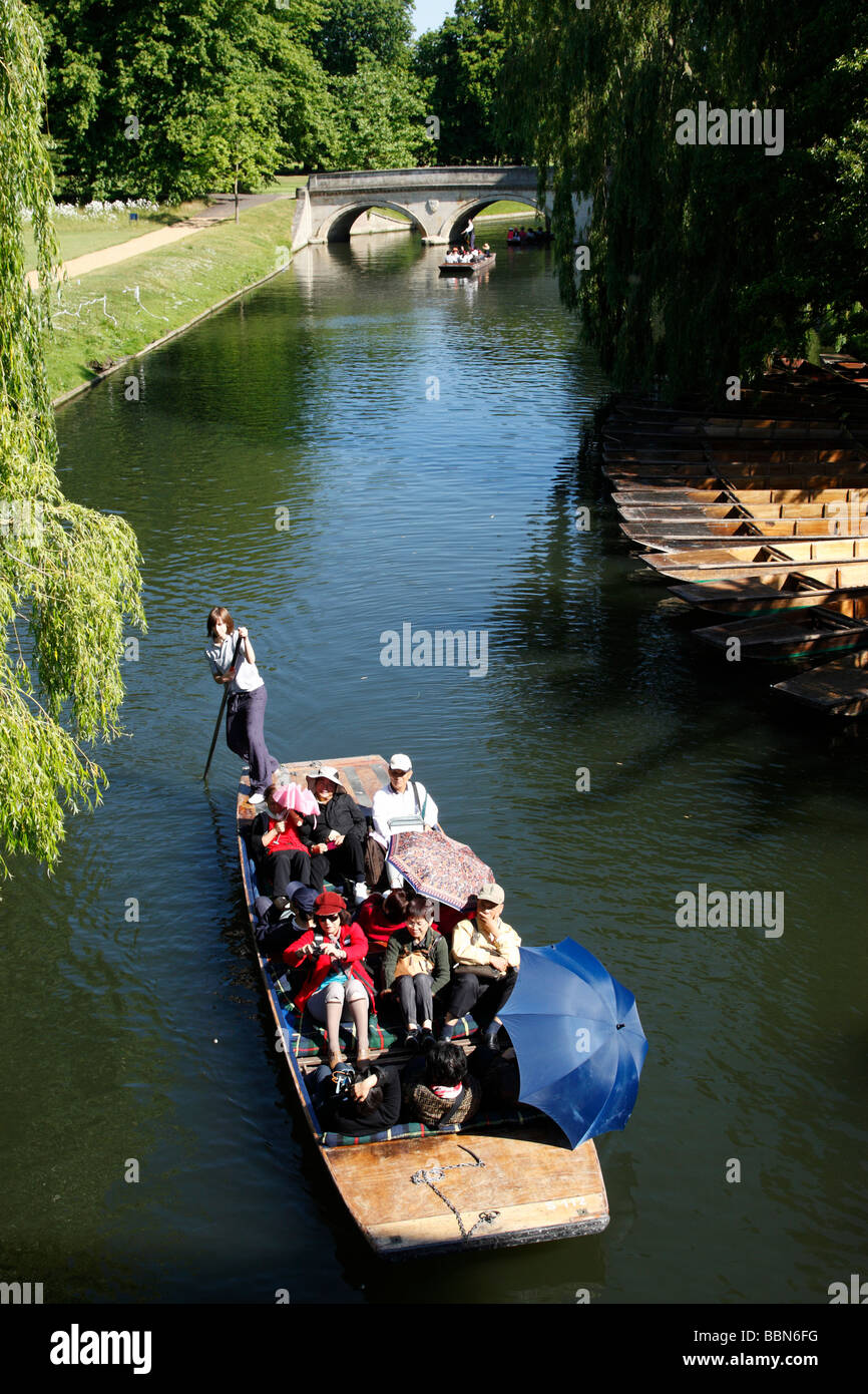 a guided punt tour on the river cam in an area known as the backs cambridge uk Stock Photo
