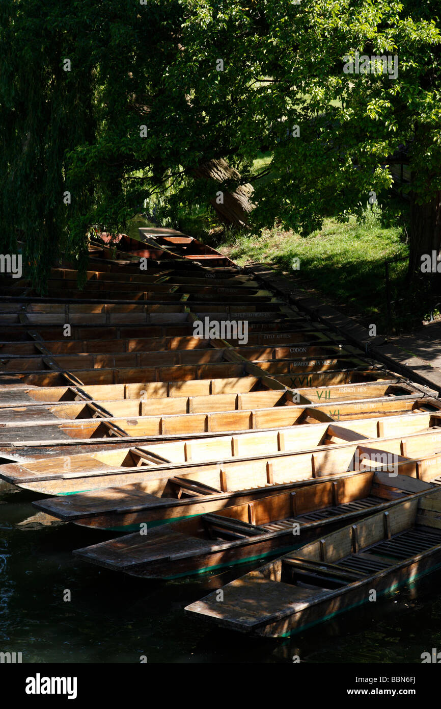 punts on the river cam in an area known as the backs cambridge uk Stock Photo