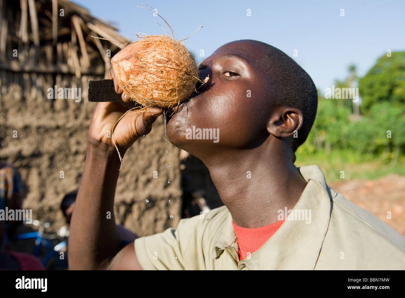 A man drinks fresh coconut milk Quelimane Mozambique Stock Photo