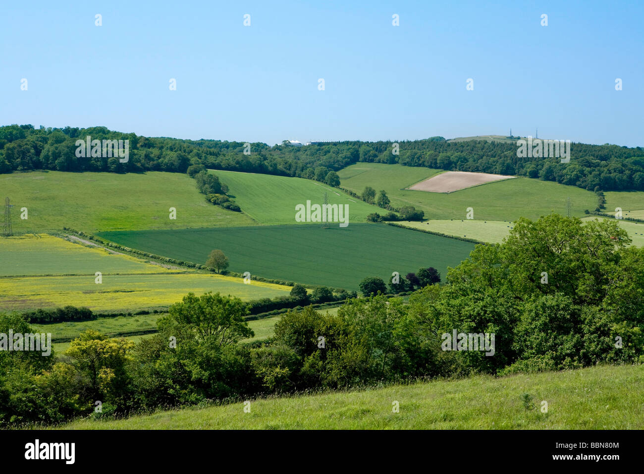 A distant view of Goodwood racecourse across the Downs from East Dean, West Sussex, UK Stock Photo