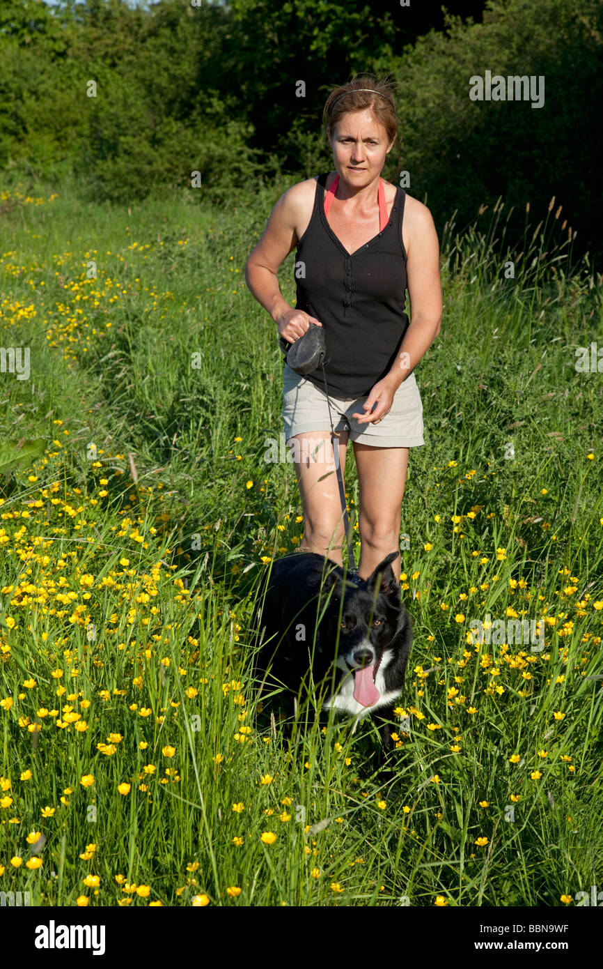 Woman walking border collie dogs on lead across field of buttercups Cotswolds UK Stock Photo