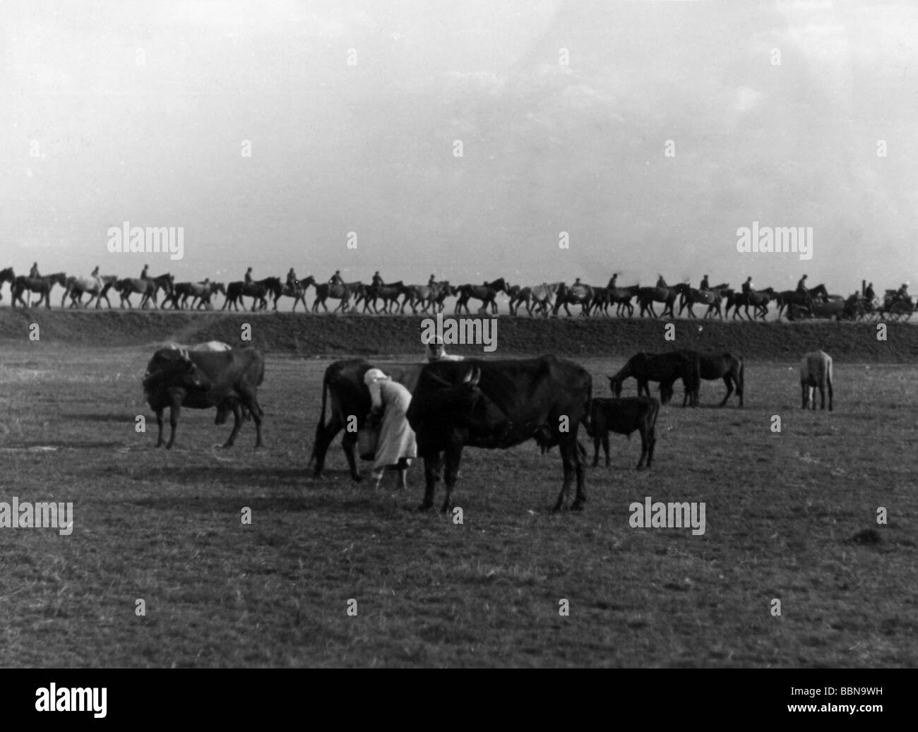 events, Second World War / WWII, Russia 1941, Russian female farmers with cows, in the background an advancing Wehrmacht column with horses, summer 1941, Stock Photo