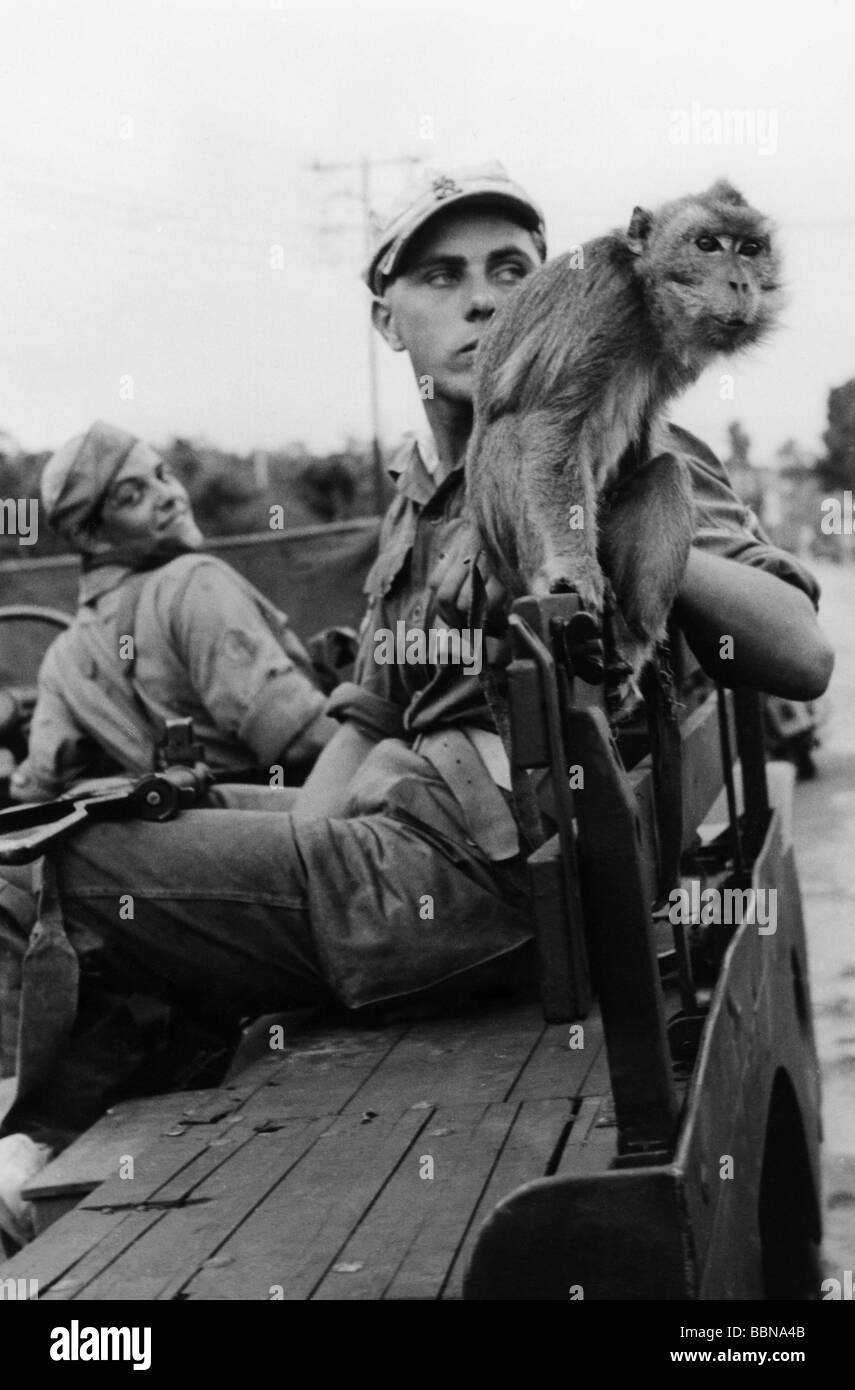 geography / travel, Indonesia, politics, Indonesian War of Independence 1945 - 1949, Dutch soldiers of the liaison section staff 'W' Brigade with a tamed monkey, Bandung sector, Stock Photo