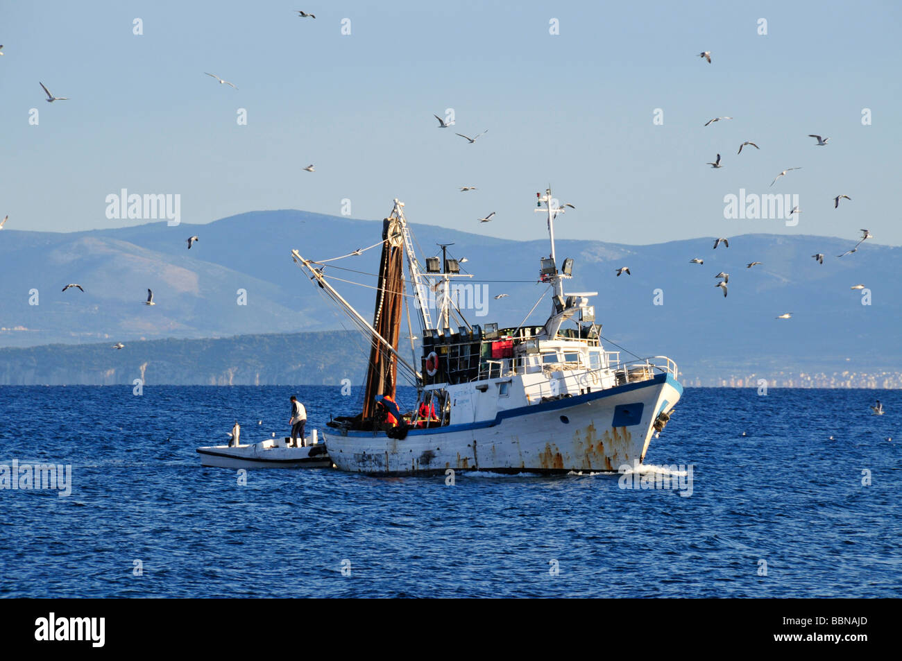 Fish trawlers in front of Sutivan, Island Brac, Dalmatia, Croatia, Balkans, Europe Stock Photo