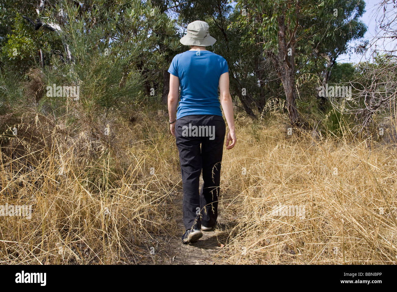 Female hiker hiking path hi-res stock photography and images - Alamy