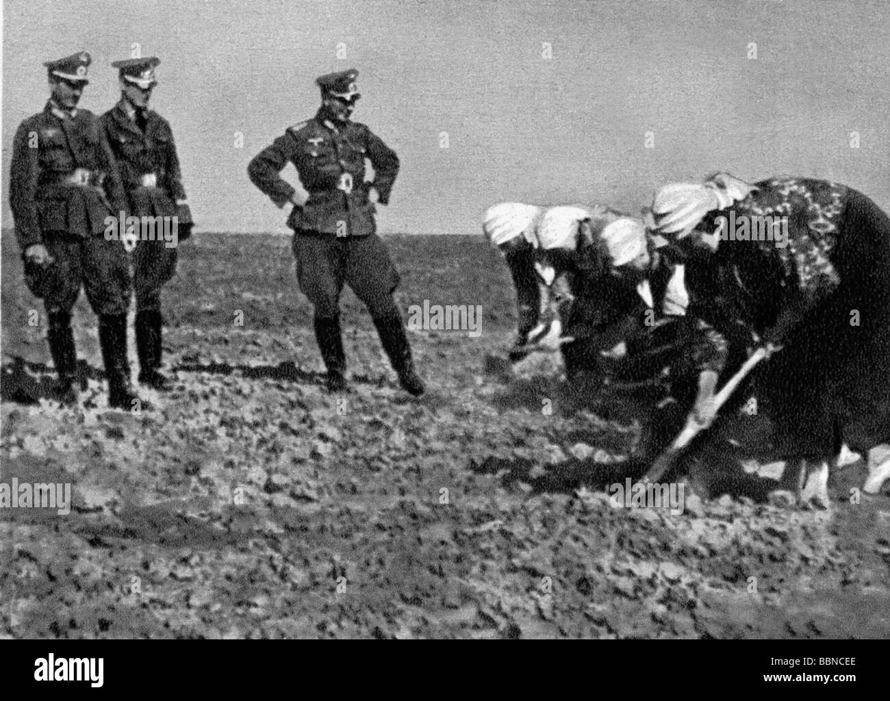 events, Second World War / WWII, Russia, behind the front, Russian countrywomen during field work for the German Wehrmacht, circa 1942, Stock Photo