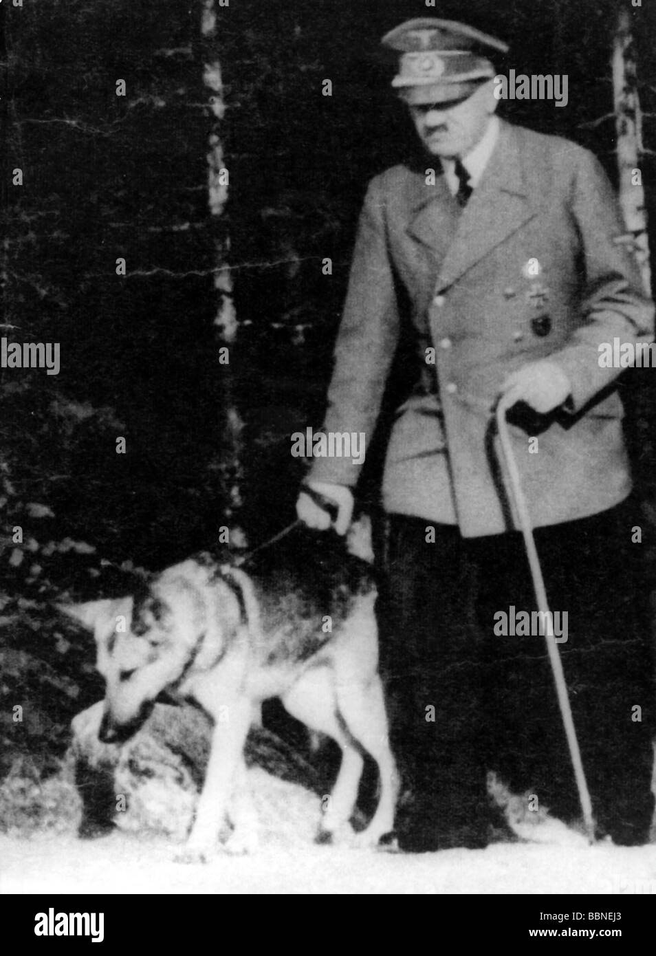 Hitler, Adolf, 20.4.1889 - 30.4.1945, German politician (NSDAP), Fuehrer and Reich Chancellor since 1933, walking his sheep dog, autumn 1944, full length, Stock Photo